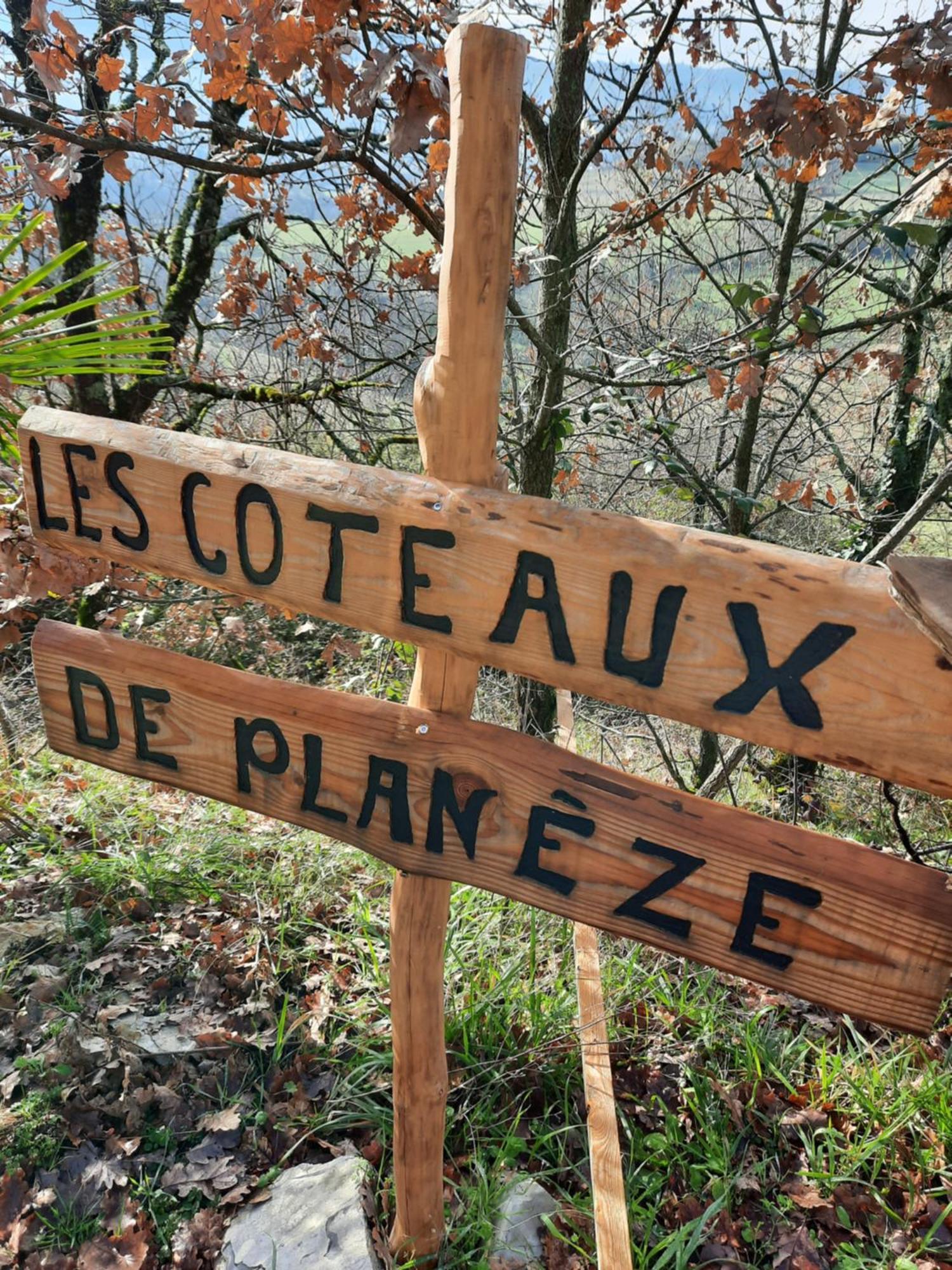 Les Coteaux De Planeze, Maison Et Jardin Dans Le Lot! Chambres Chez L'Habitant! Belmont-Bretenoux エクステリア 写真